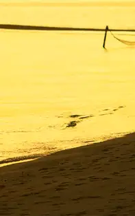 3 zodii care sunt predispuse să-și înșele partenerul după căsătorie