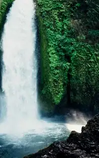 Top 3 zodii care pot intimida pe oricine doar cu o privire