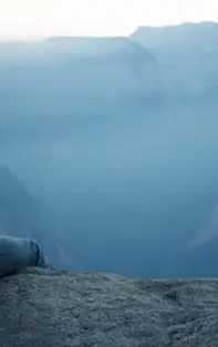 Zodiile de Foc și singurătatea. Iată cum poți scăpa de ea