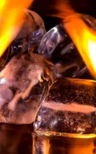 Care este farmecul zodiilor de FOC?