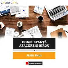 Consultanta amenajare Feng Shui casa, 60 minute inregistrare audio