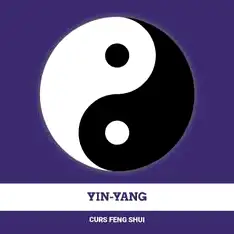 Carte Introducere in principiile feng shui, format electronic, 48 pagini