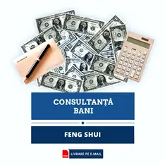 Feng Shui pentru Bani, studiu personal, cca 40 pagini, format electronic