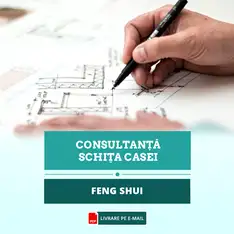 Consultanta in direct cu master feng shui pentru amenajarea casei