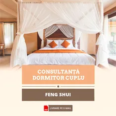 Feng Shui cuplu, consultanță cca 40 pagini, livrare e-mail