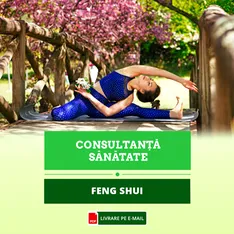 Feng Shui pentru o viata sanatoasa