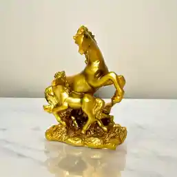 Statuie doi cai Feng Shui