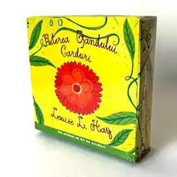 Set 64 Carduri Puterea Gândului