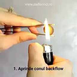 Conuri backflow Palo Santo parfumate 40 buc