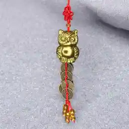 Bufnita cu nod mistic si monede norocoase