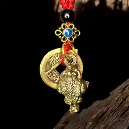 Breloc Broscuta feng shui