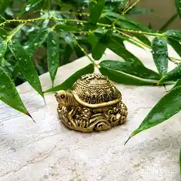 Broasca testoasa feng shui cu ideograme