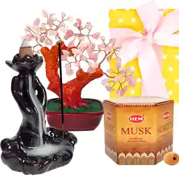 Setul Lotus Love cu fântână backflow