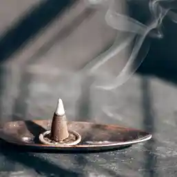 Conuri parfumate Luna