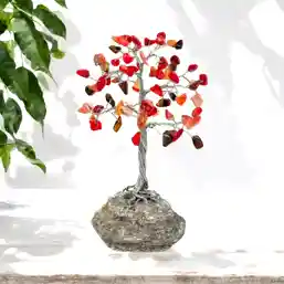 Copac cu pietre Coral