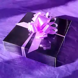 Cadou pentru casă nouă