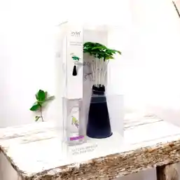 Odorizant cameră aromă de Lavandă