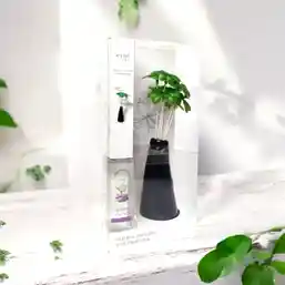 Difuzor de cameră Lotus și Zambile