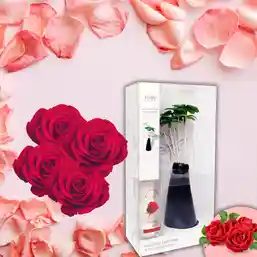 Odorizant cameră aromaterapie Trandafir