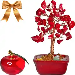 Set cadou Pom cu pietre semipretioase din coral si Mar rosu din sticla de cristal