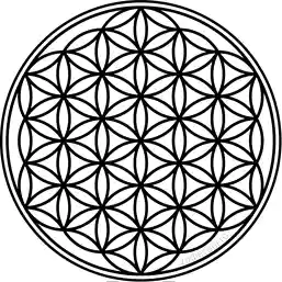 Sticker Floarea Vieții Negru