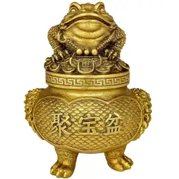 Imagine Vasul bogăției cu broasca cu bani