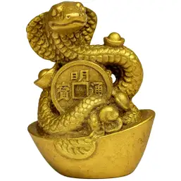 Imagine Șarpe cu monedă chinezească