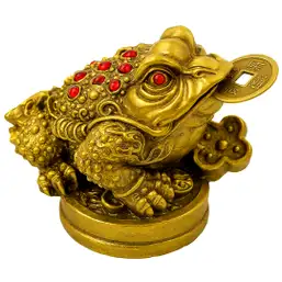 Imagine Broasca banilor cu Ru Yi și moneda