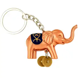 Imagine Breloc cu elefant și monede
