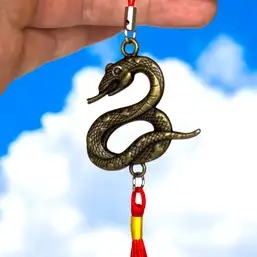 Imagine Amuleta Sarpe