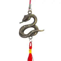 Imagine Amuleta Sarpe