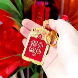 Imagine Breloc Dragon celest