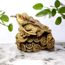 Imagine Broasca Feng Shui mare