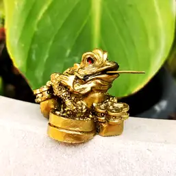 Imagine Broasca banilor cu Ru Yi și moneda