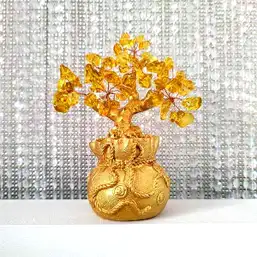 Imagine Copacul banilor Citrin și mantre pentru bani