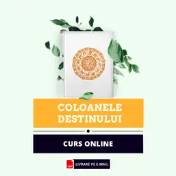 Imagine Carte Coloanele Destinului
