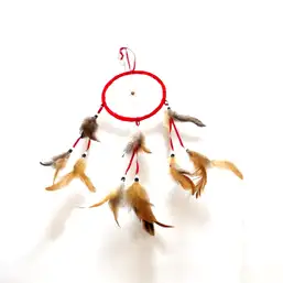 Imagine Dream catcher 1 cerc mare ornament protectie cosmaruri