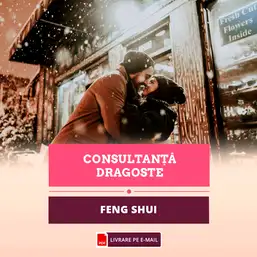 Imagine Consultanta Feng Shui pentru persoane singure