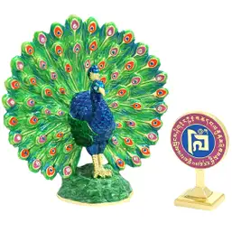 Imagine Paun magic 2025 statueta