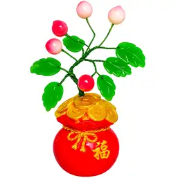 Imagine Piersic Feng Shui în ghiveci