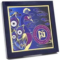 Imagine Placă protejarea averii 2025