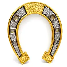 Imagine Potcoava norocoasa