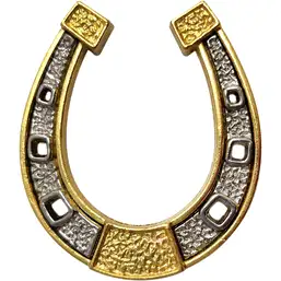 Imagine Potcoava norocoasa