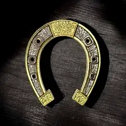 Imagine Potcoava norocoasa