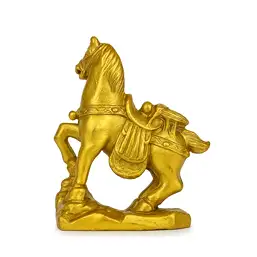 Imagine Cal auriu cu muscă