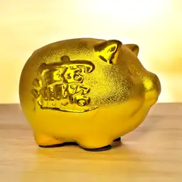 Imagine Pusculita porcusor pentru bani