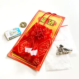 Imagine Sac cu bani si nod mistic