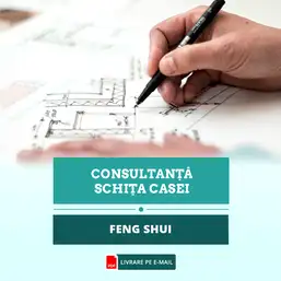 Imagine In direct cu master feng shui