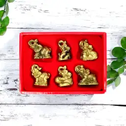 Imagine Set 6 elefanti norocosi