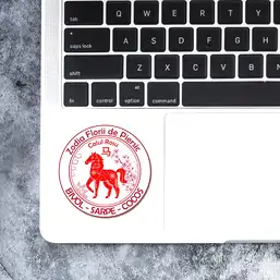 Imagine Sticker Cal Roșu